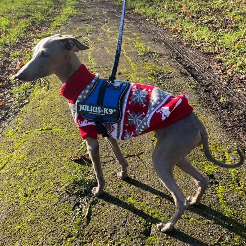 Cute Warm Pullover Sweater for Small Dogs & Cats Winter Pet Clothing