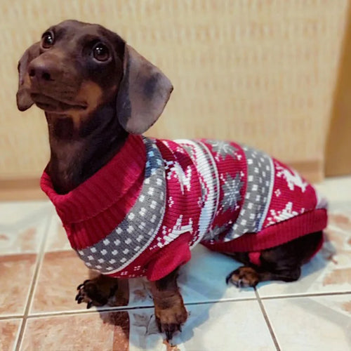 Cute Warm Pullover Sweater for Small Dogs & Cats Winter Pet Clothing