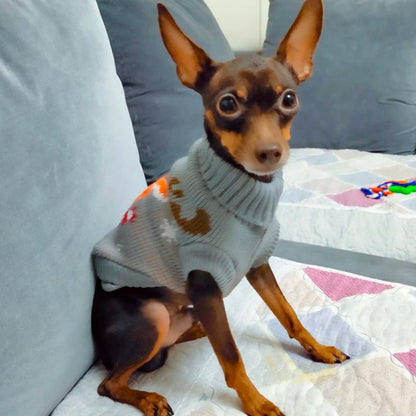 Cute Warm Pullover Sweater for Small Dogs & Cats Winter Pet Clothing