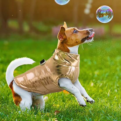 Waterproof Warm Winter Dog Jacket for Small Dogs & Puppies