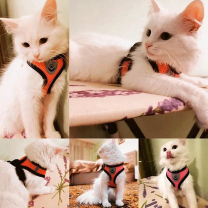 Adjustable Mesh Pet Harness with Leash for Small & Medium Dogs & Cats