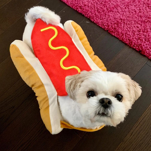 Funny Halloween Dog & Cat Costume for Small to Large Pets