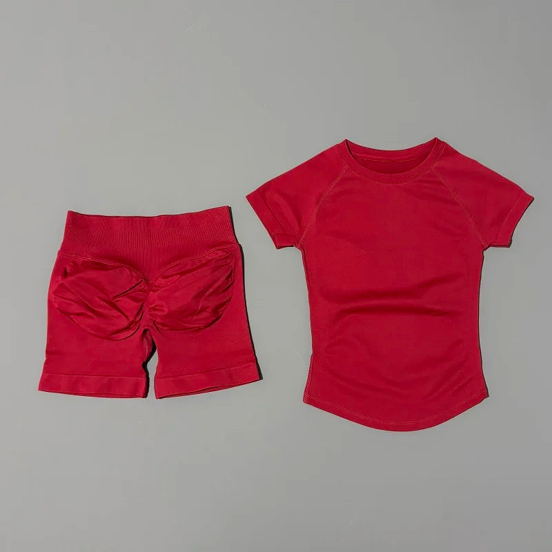 2 Piece Seamless Yoga Top and Shorts Set