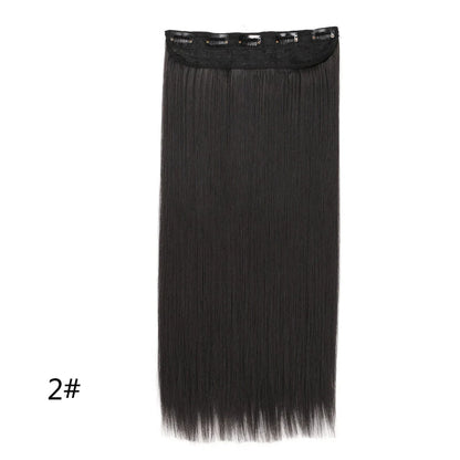 Women's 24 Inch 5 Clip Straight Synthetic Hair Extension
