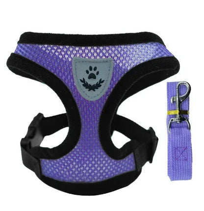 Adjustable Mesh Pet Harness with Leash for Small & Medium Dogs & Cats