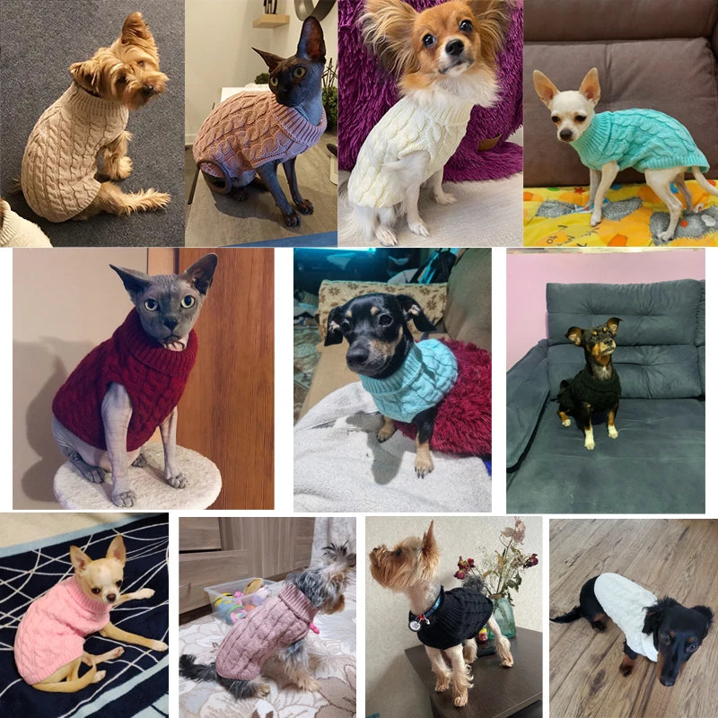Warm Turtleneck Knitted Sweater for Small Dogs & Cats Winter Pet Clothing