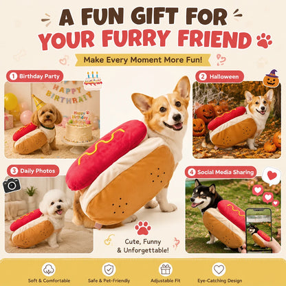 Funny Halloween Dog & Cat Costume for Small to Large Pets
