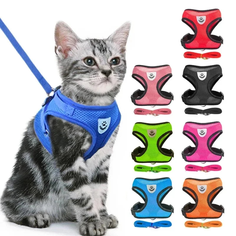 Adjustable Mesh Pet Harness with Leash for Small & Medium Dogs & Cats