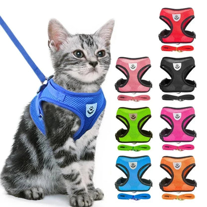 Adjustable Mesh Pet Harness with Leash for Small & Medium Dogs & Cats