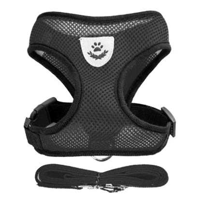 Adjustable Mesh Pet Harness with Leash for Small & Medium Dogs & Cats