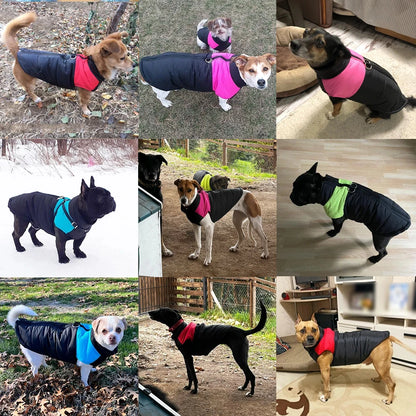 Warm Waterproof Dog Jacket with D-Ring for Small & Large Dogs