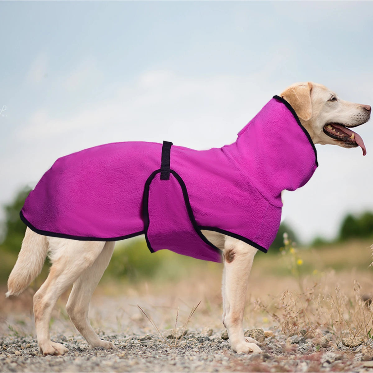 High Collar Warm Windproof Dog Coat with Adjustable Strap for Winter