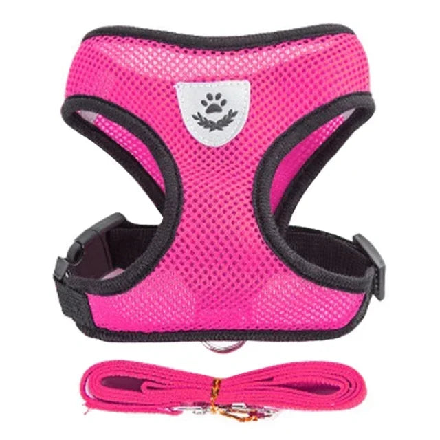 Adjustable Mesh Pet Harness with Leash for Small & Medium Dogs & Cats