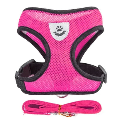 Adjustable Mesh Pet Harness with Leash for Small & Medium Dogs & Cats
