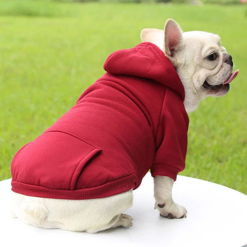 Thick Warm Hooded Sweater for Small Dogs Autumn Winter Pet Clothing