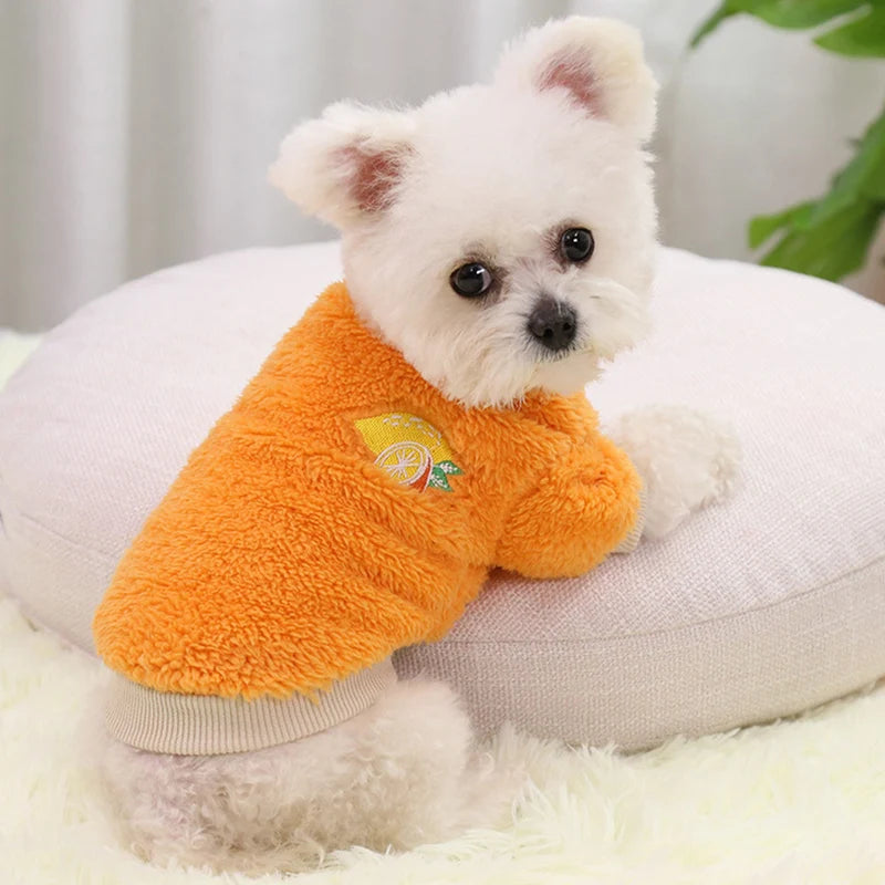 Thick Warm Velvet Dog Coat for Small & Medium Dogs Winter Pet Clothing