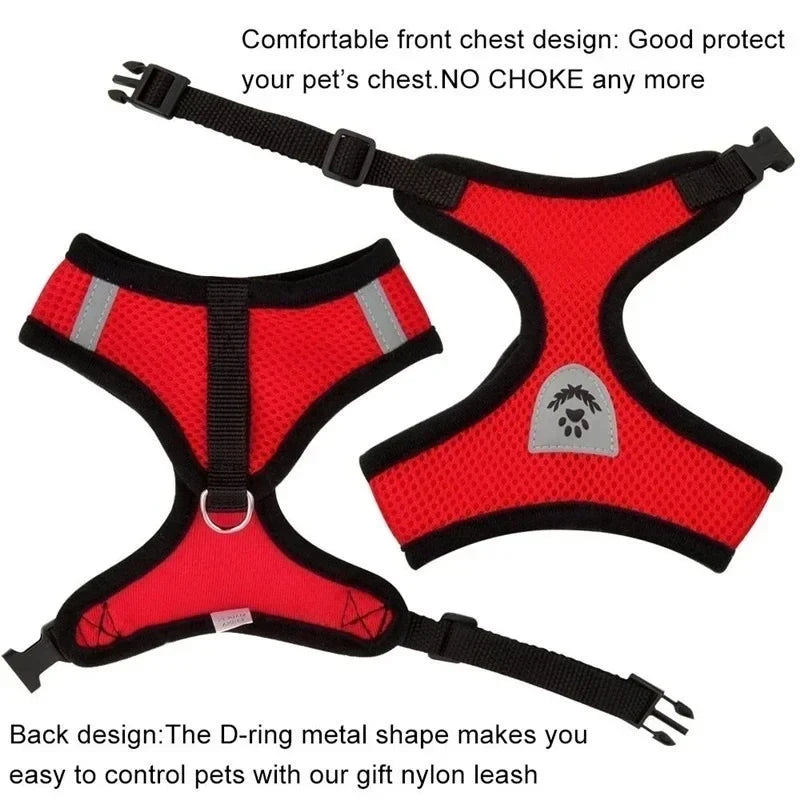 Adjustable Mesh Pet Harness with Leash for Small & Medium Dogs & Cats