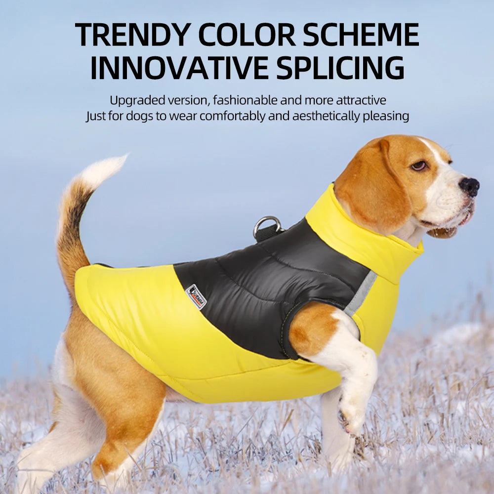 Waterproof Warm Winter Dog Cotton Jacket for Small & Large Dogs