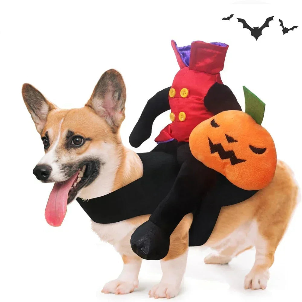 Halloween Horse Riding Santa Costume for Dogs & Cats Small to Large Pet Outfit