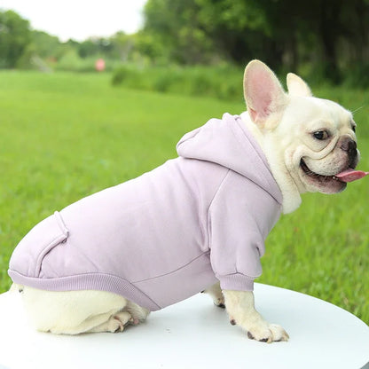 Thick Warm Hooded Sweater for Small Dogs Autumn Winter Pet Clothing