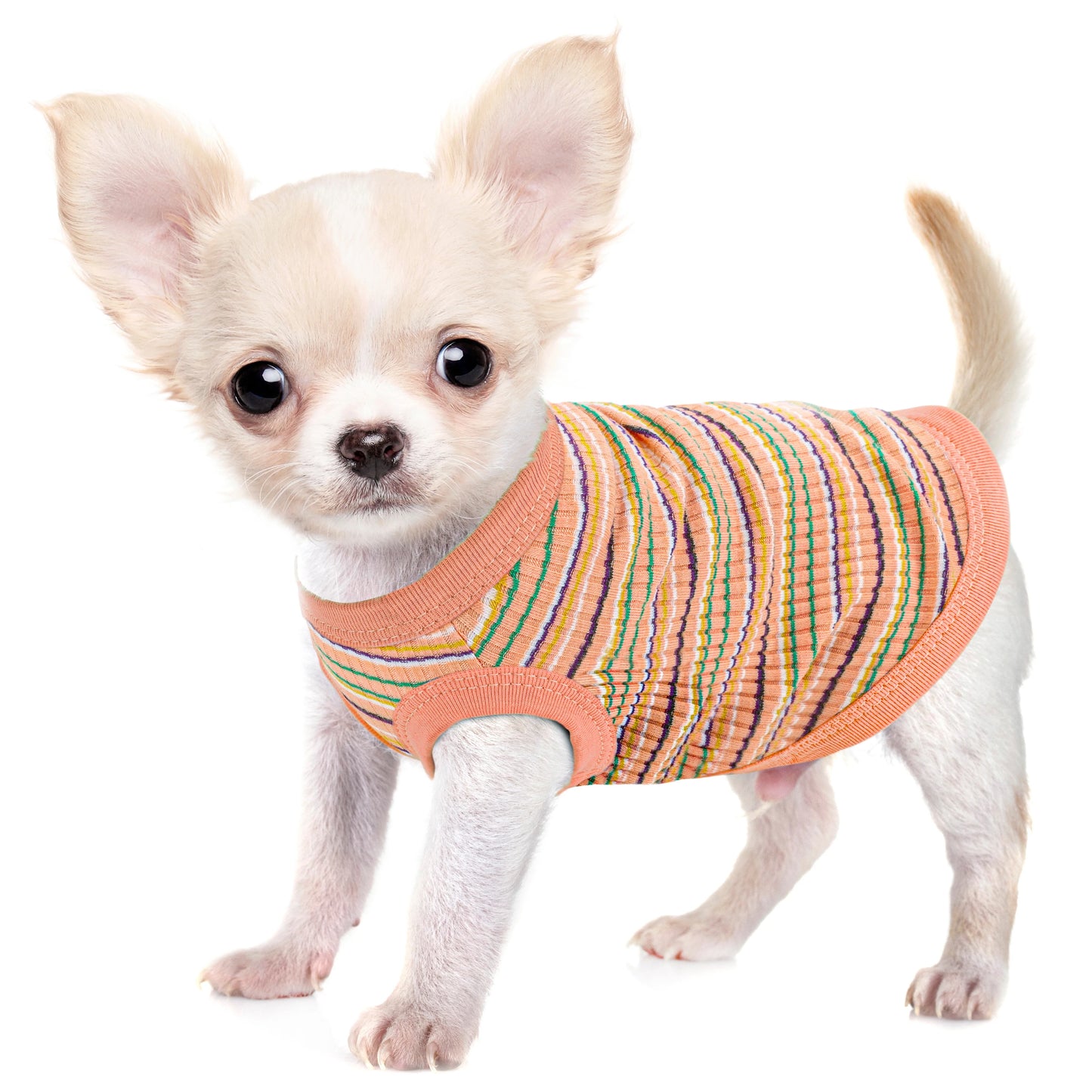 Pink Rib Dog Shirt Vest for Small Dogs & Puppies