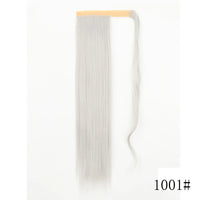 SI66-1001A