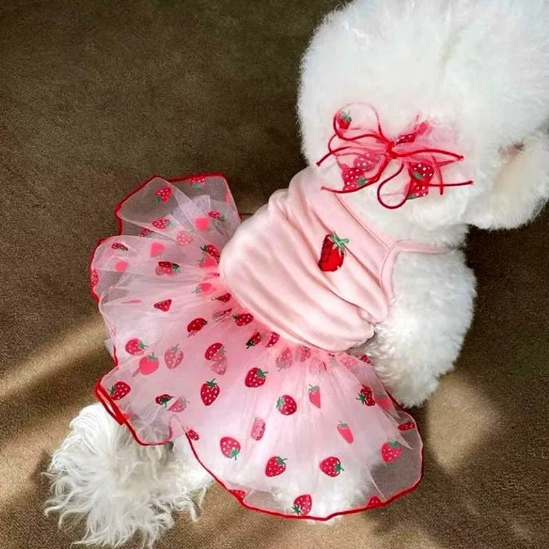 Bow Lace Dress for Small Dogs Summer Pet Clothing