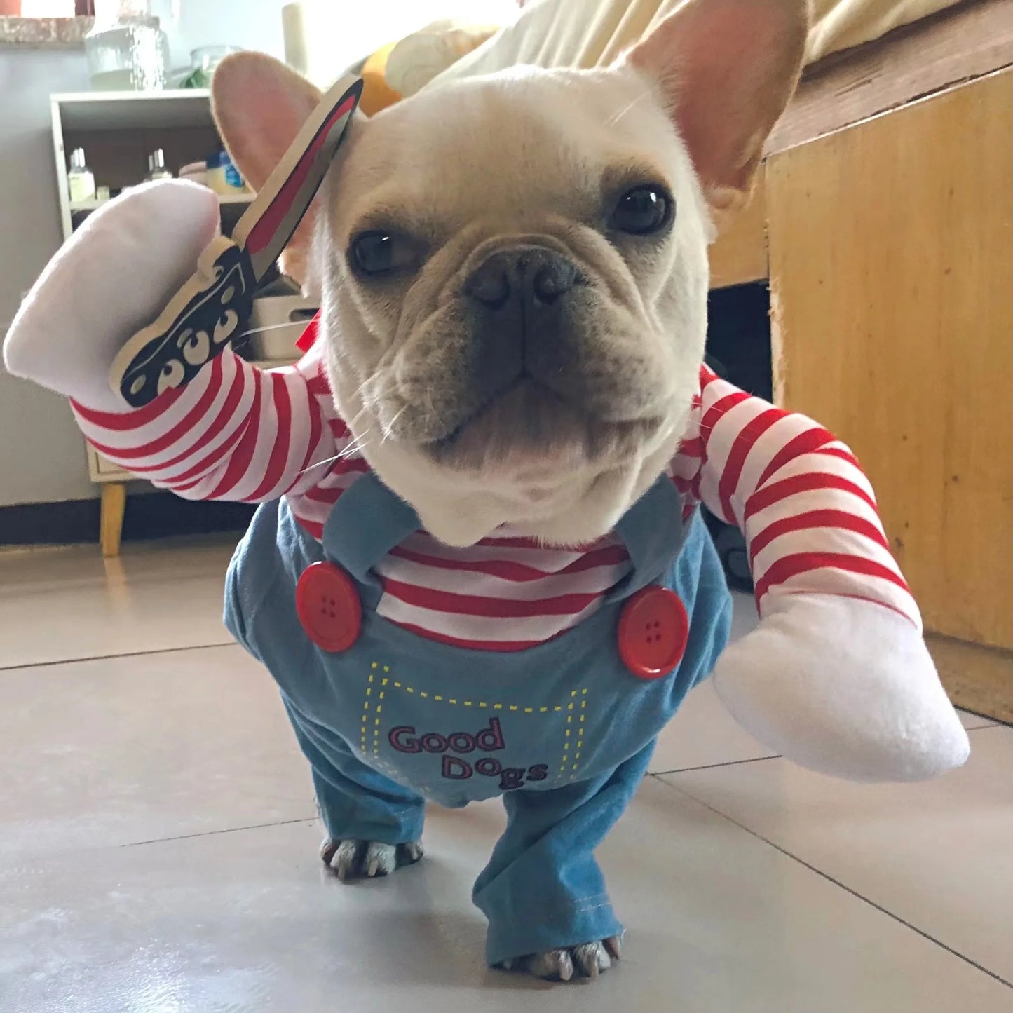Funny Halloween Dog & Cat Cosplay Costume for Small & Medium Pets