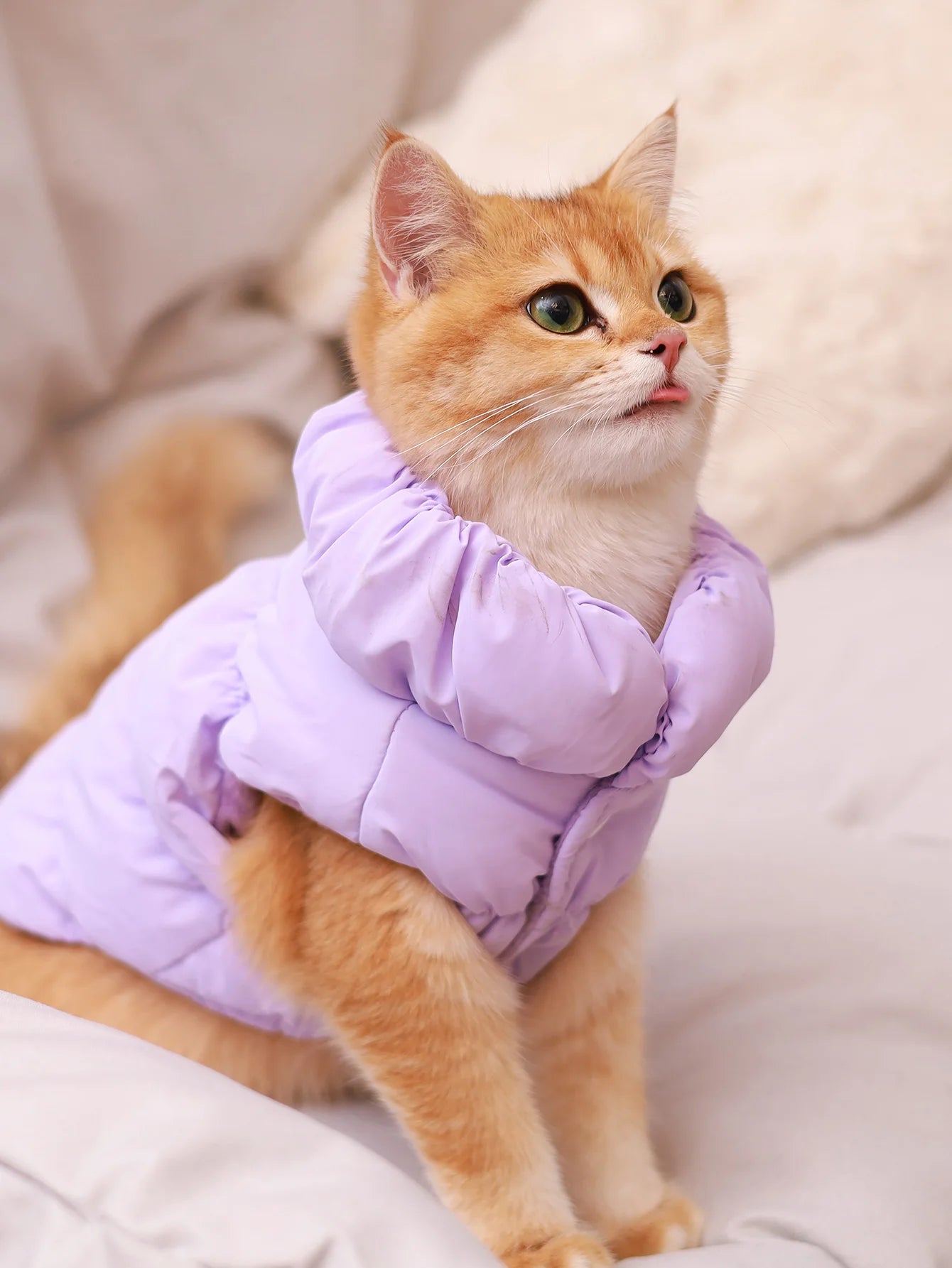 3 Layer Warm Dog Jacket for Small & Medium Dogs Autumn Winter