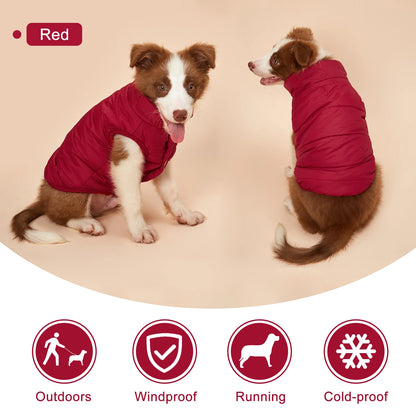 Warm Fleece Lined Winter Dog Jacket for Small Dogs & Puppies