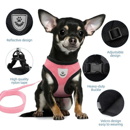 Adjustable Mesh Pet Harness with Leash for Small & Medium Dogs & Cats