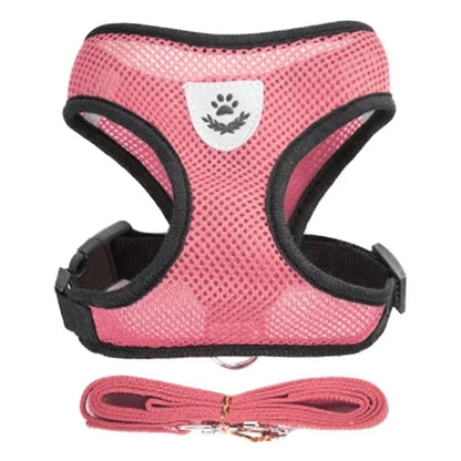 Adjustable Mesh Pet Harness with Leash for Small & Medium Dogs & Cats