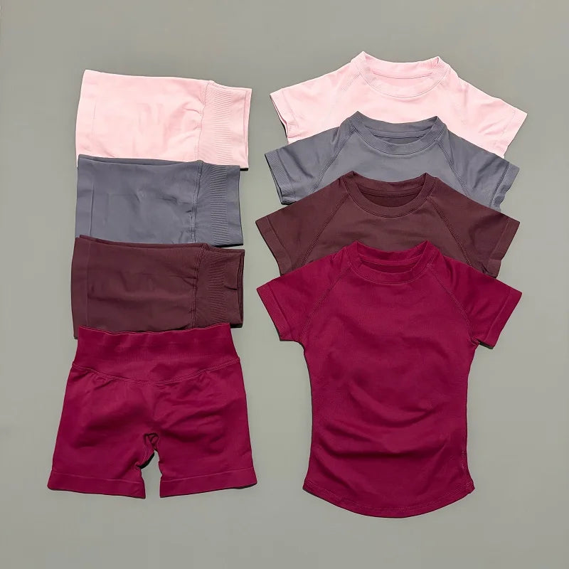 2 Piece Seamless Yoga Top and Shorts Set