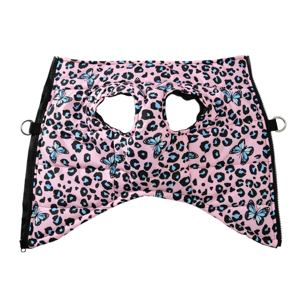 Leopard Print Dog Jacket with D-Ring for Small & Medium Dogs & Cats