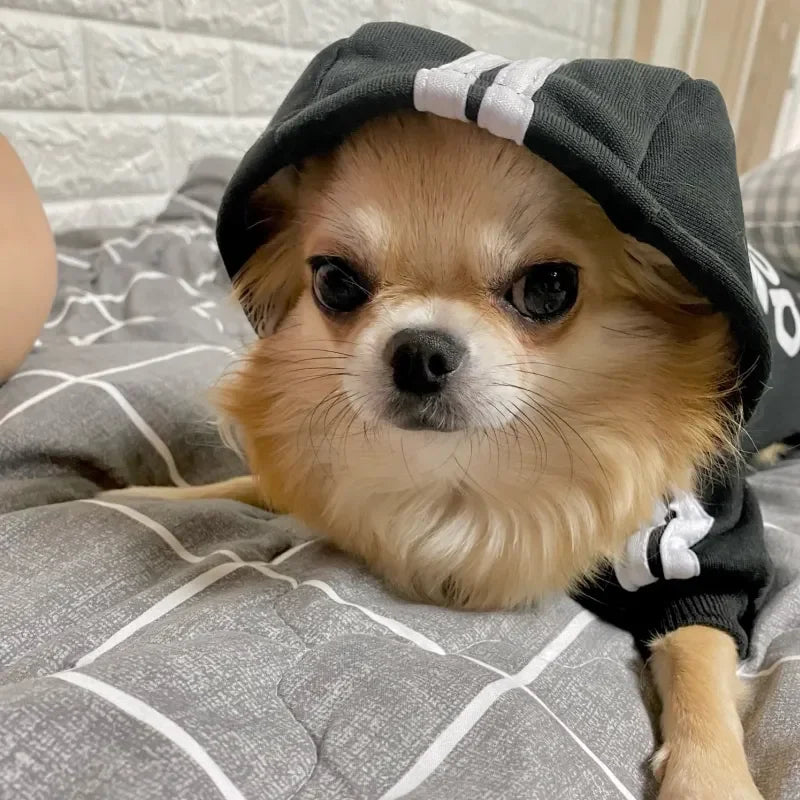 Warm Dog Hoodie Coat for Medium & Large Dogs Winter Pet Clothing