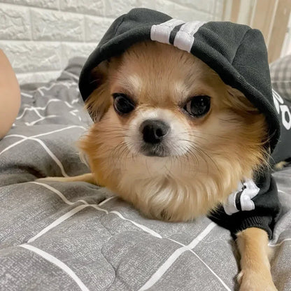 Warm Dog Hoodie Coat for Medium & Large Dogs Winter Pet Clothing