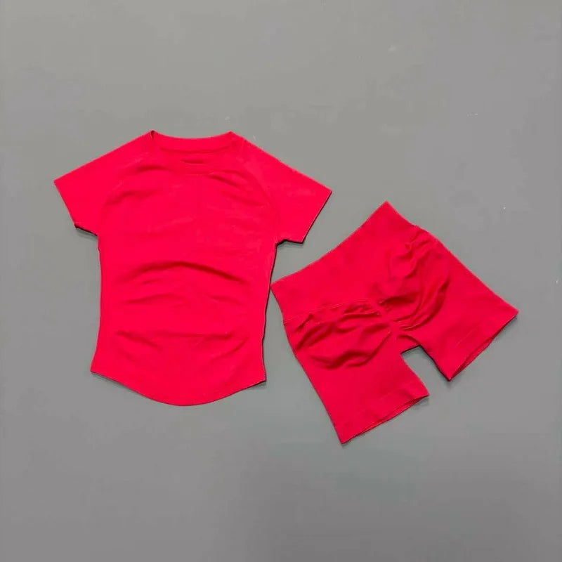 Women's 2 Piece Seamless Yoga Top and Shorts Set