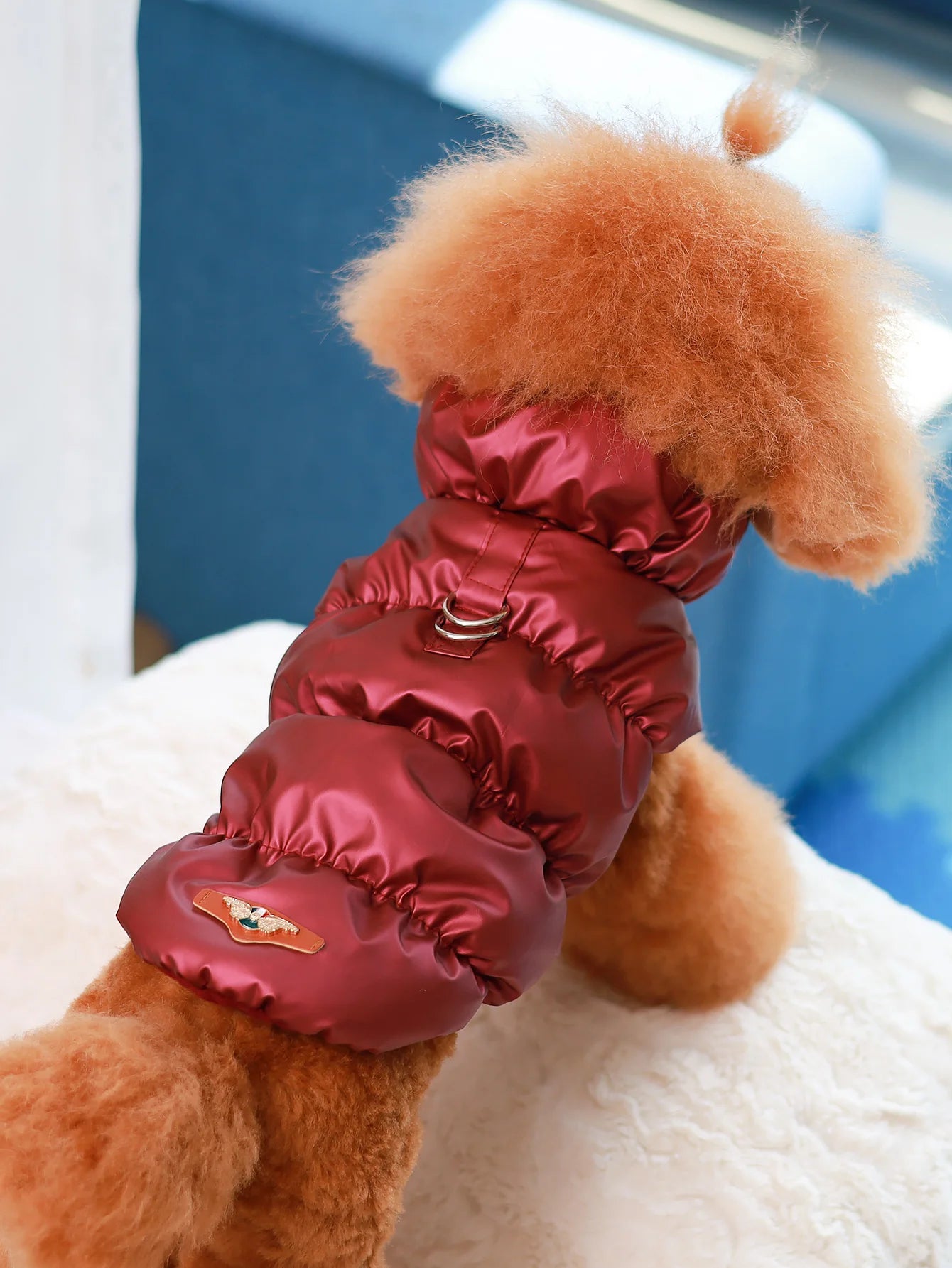 3 Layer Warm Dog Jacket for Small & Medium Dogs Autumn Winter