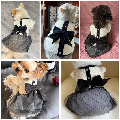 Bow Lace Dress for Small Dogs Summer Pet Clothing