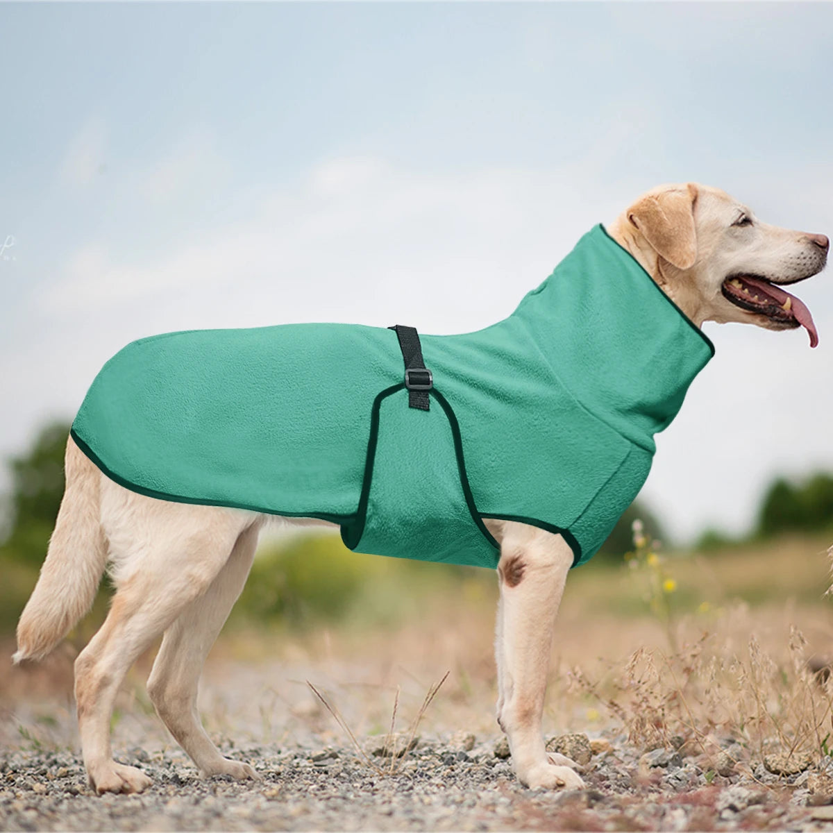 High Collar Warm Windproof Dog Coat with Adjustable Strap for Winter
