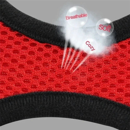 Adjustable Mesh Pet Harness with Leash for Small & Medium Dogs & Cats
