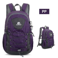 PP