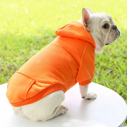 Thick Warm Hooded Sweater for Small Dogs Autumn Winter Pet Clothing