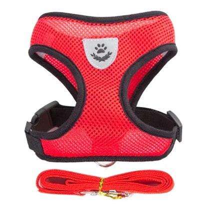 Adjustable Mesh Pet Harness with Leash for Small & Medium Dogs & Cats