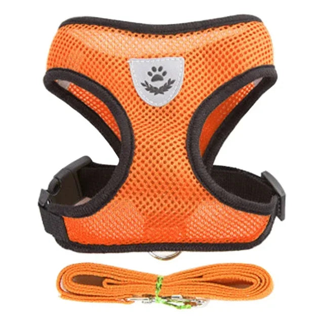 Adjustable Mesh Pet Harness with Leash for Small & Medium Dogs & Cats