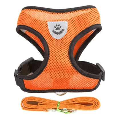 Adjustable Mesh Pet Harness with Leash for Small & Medium Dogs & Cats