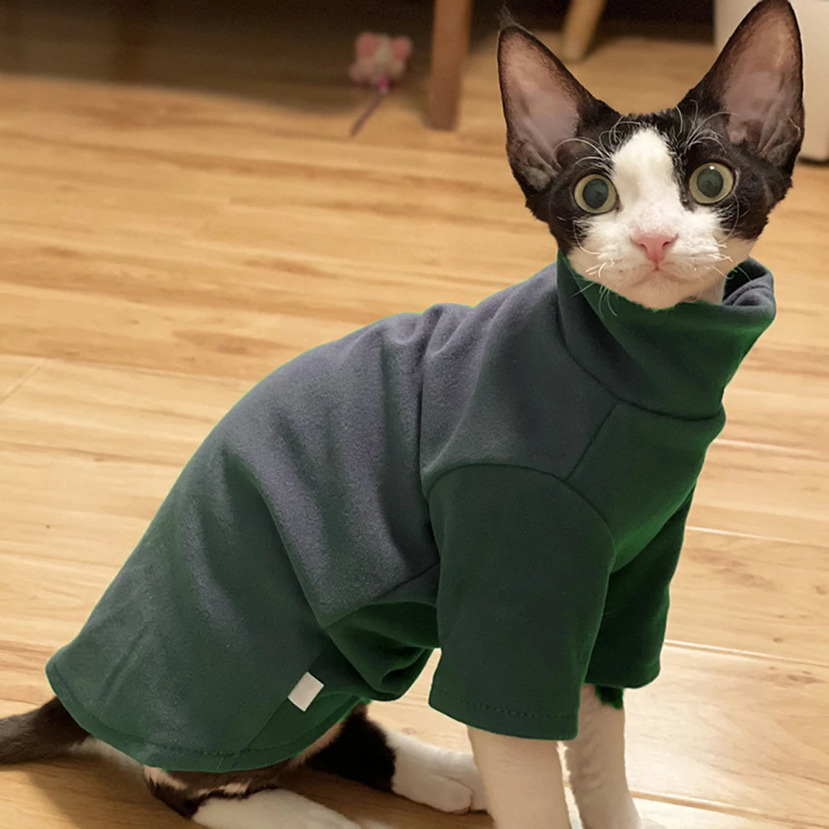 Soft Cotton Sphynx Cat Clothes for Fall & Winter