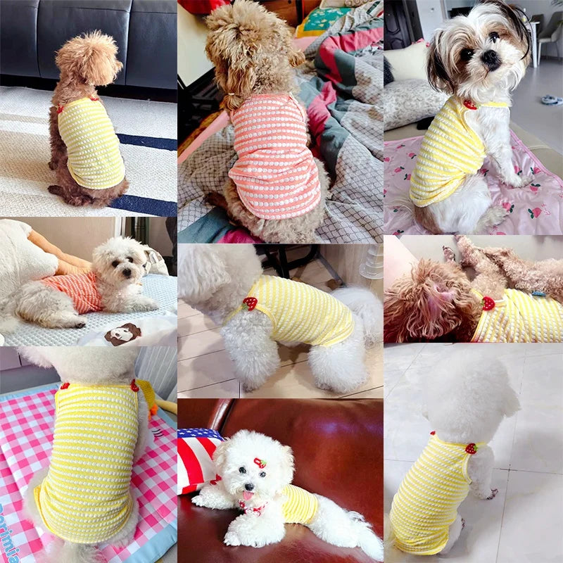 Breathable Summer Suspender Vest for Small Dogs & Cats
