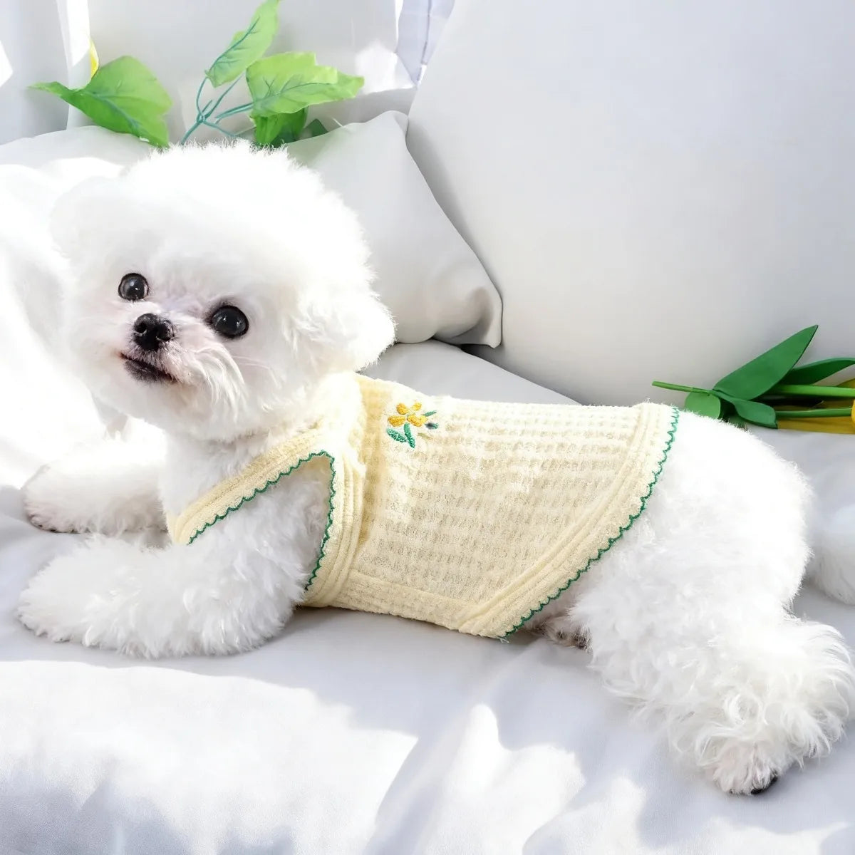 Floral Embroidered Summer Suspender Vest for Small & Medium Dogs & Cats