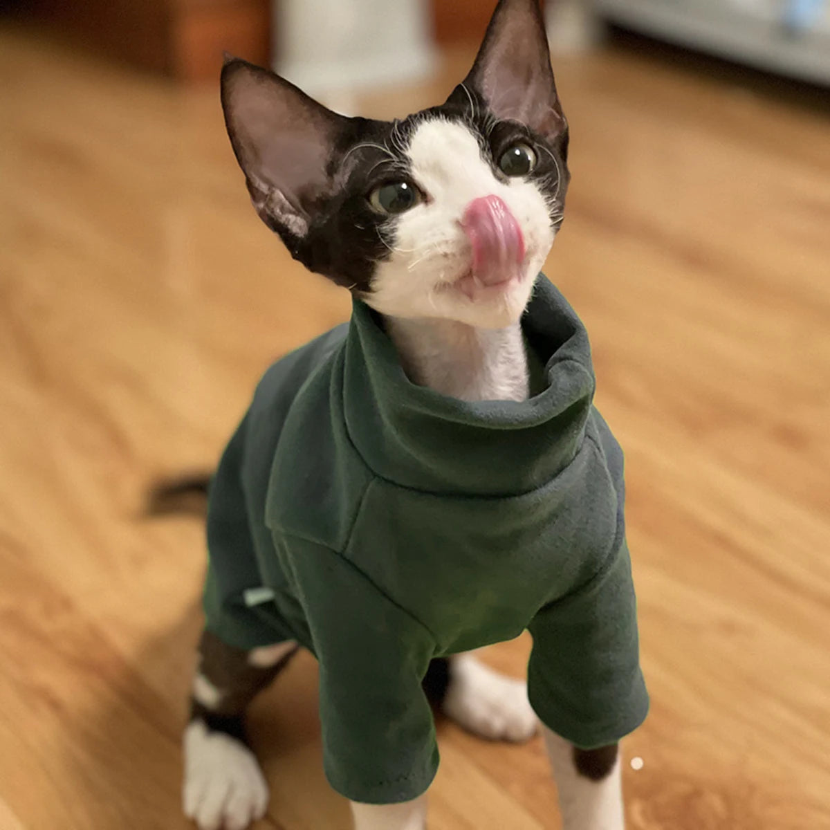 Soft Cotton Sphynx Cat Clothes for Fall & Winter